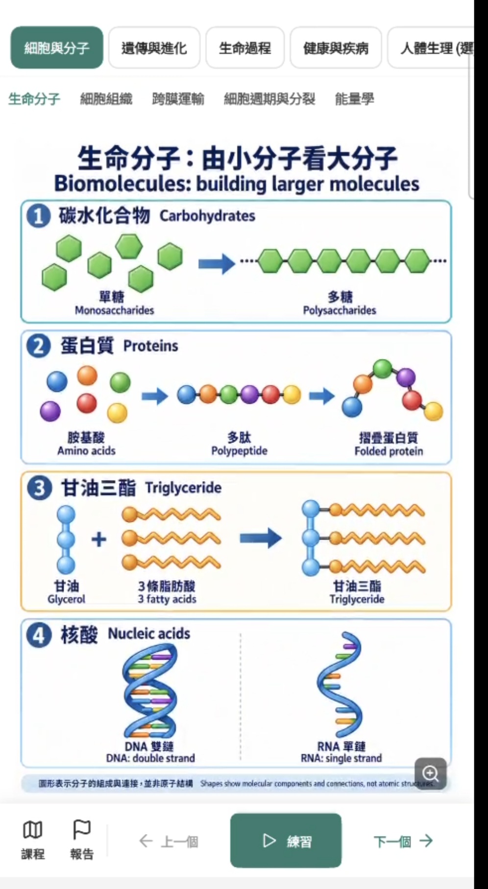 生物